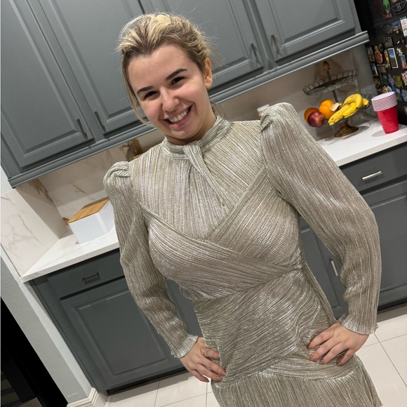 SAYLOR Metallic Silver Dress - Picture 3 of 14